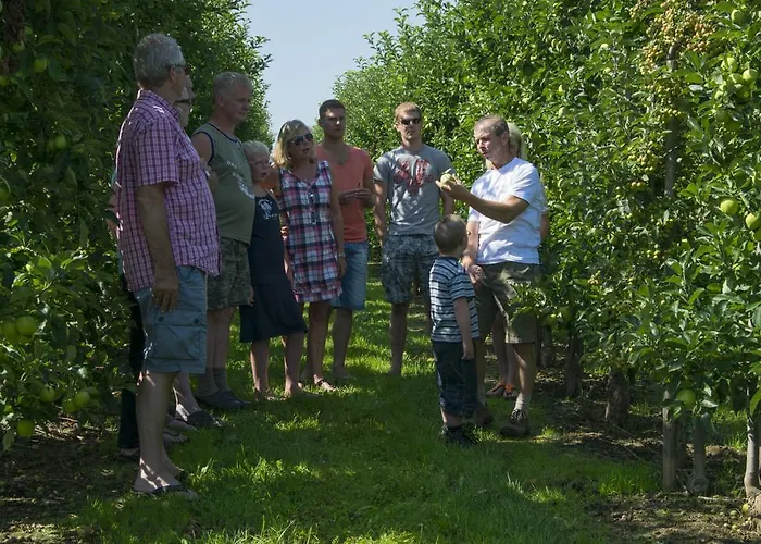 Oord Zonnehoeve 팜스테이 팔켄뷔르흐안더횔